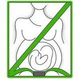 Scamp bezpečnostný pás pre tehotné - modrý