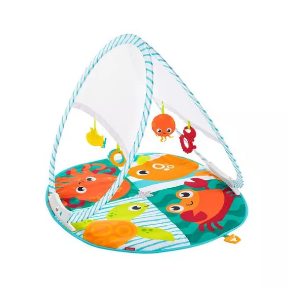 Fisher Price Rybičkový hrací koberec