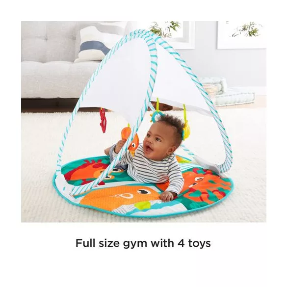 Fisher Price Rybičkový hrací koberec