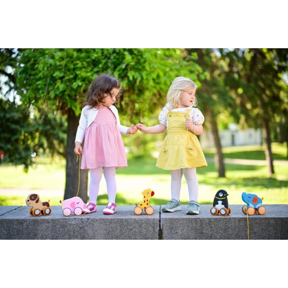 Lorelli Toys hračka na rozvoj zručnosti - Puppy