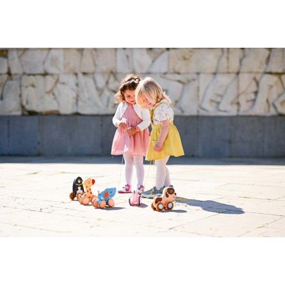 Lorelli Toys hračka na rozvoj zručnosti - Puppy