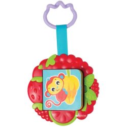 Playgro hryzátko kniha