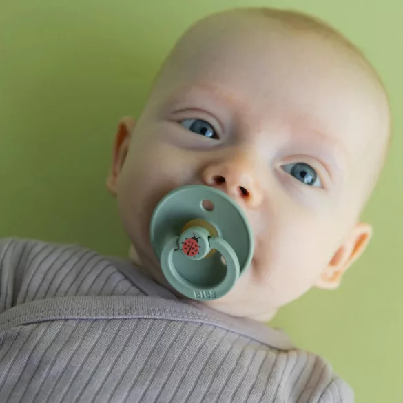 BIBS Studio Katica Colour Urban cumlík 6–18 mesiacov – šalvia (v balení)