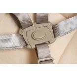 Incababy detská hojdačka Comfort - Pinkyphant FW