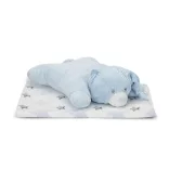 Lorelli Poffy Duo prikrývka 75x90 cm s vankúšikom 45x30 cm - White Blue Teddy Bear