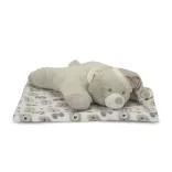 Lorelli Poffy Duo prikrývka 75x90 cm s vankúšikom 45x30 cm - White BeigeTeddy Bear
