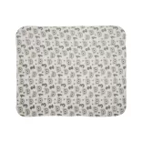 Lorelli Poffy Duo prikrývka 75x90 cm s vankúšikom 45x30 cm - White BeigeTeddy Bear