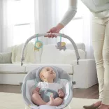 INGENUITY Vibračné kresielko s melódiami, Morrison, do 9 kg 2019