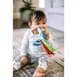 Baby Einstein hryzátko/kniha Curious Explorers ™, od 0 mesiacov