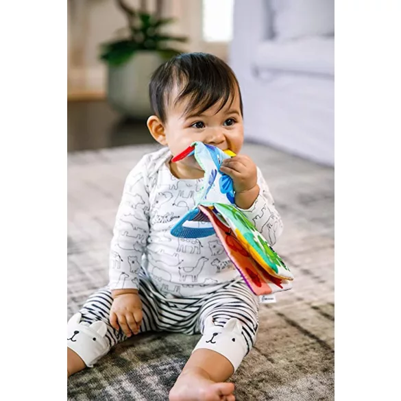 Baby Einstein hryzátko/kniha Curious Explorers ™, od 0 mesiacov