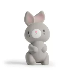   INGENUITY Gumové hryzátko, zajačik, Sylvi™, od 0 mesiacov
