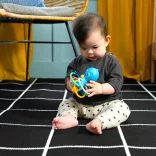 Baby Einstein hryzačka/chrastítko Opus’s Shake & Soothe™, od 0 mesiacov