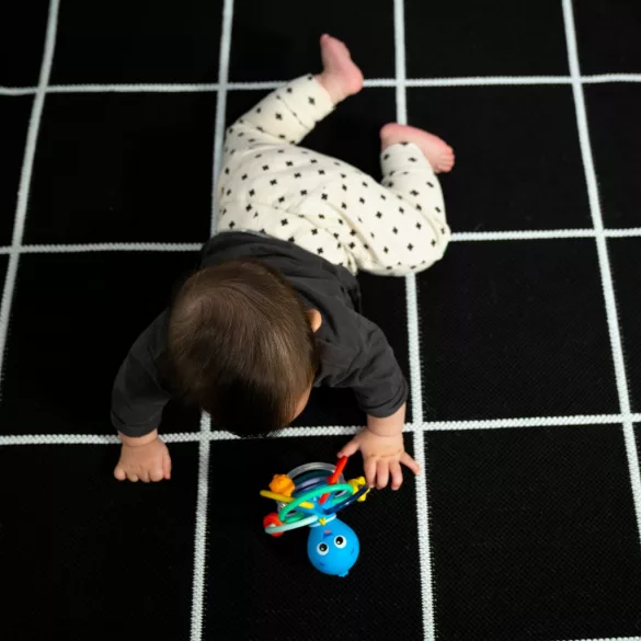 Baby Einstein hryzačka/chrastítko Opus’s Shake & Soothe™, od 0 mesiacov