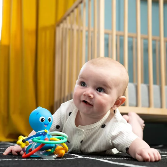 Baby Einstein hryzačka/chrastítko Opus’s Shake & Soothe™, od 0 mesiacov