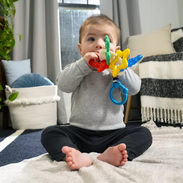 Baby Einstein hryzátko, Ocean Explorers Sea of Sensory™, od 3 mesiacov