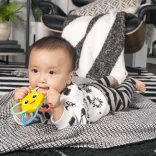 Baby Einstein Hryzátko s hrkálkou Soothing Star bez BPA - od 0 mesiacov