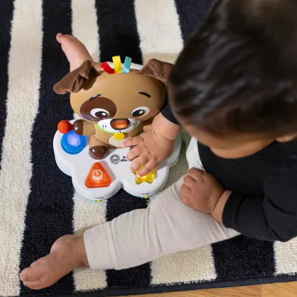 Baby Einstein Hudobná rozvojová hračka Drum & Learn Dean™ – od 6 mesiacov