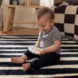 Baby Einstein Hudobný tamburín Tap & Shake™ Magic Touch™ HAPE – od 6 mesiacov
