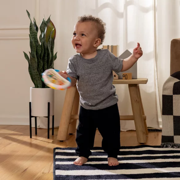 Baby Einstein Hudobný tamburín Tap & Shake™ Magic Touch™ HAPE – od 6 mesiacov