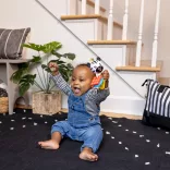 Baby Einstein Hryzátko s hrkálkou zebra Zen™ Shake-a-Shape bez BPA - 0 mesiacov+