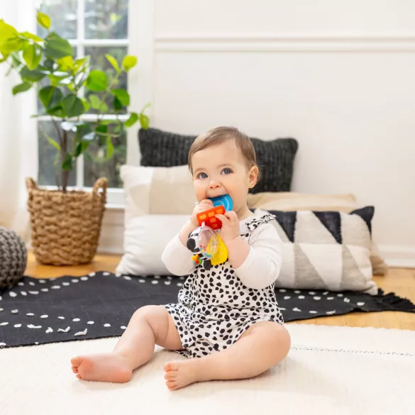 Baby Einstein Hryzátko s hrkálkou zebra Zen™ Shake-a-Shape bez BPA - 0 mesiacov+