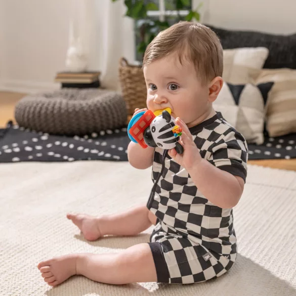 Baby Einstein Hryzátko s hrkálkou zebra Zen™ Shake-a-Shape bez BPA - 0 mesiacov+