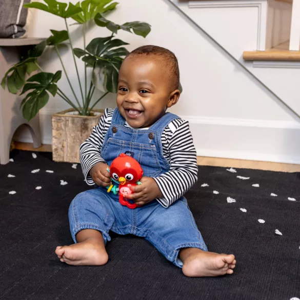 Baby Einstein Hudobná senzorická hračka Roxy's Bright Flight™ – od 3 mesiacov
