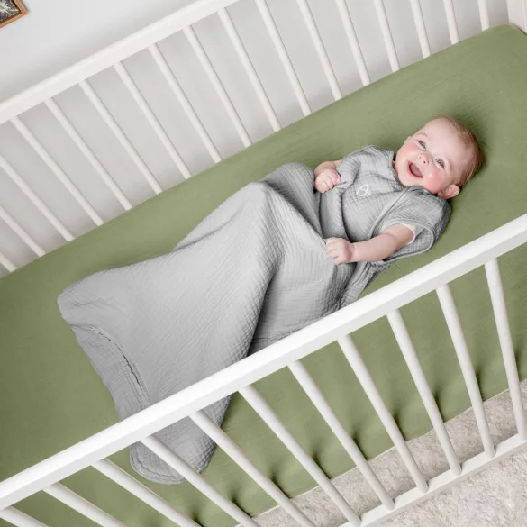 INGENUITY Spací vak z bavlny TOG 2,5 SwaddleMe™ Space 3m+