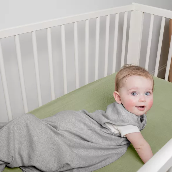 INGENUITY Spací vak z bavlny TOG 2,5 SwaddleMe™ Space 3m+