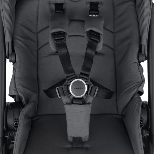 Petite&Mars Kombinovaný kočík SCOUT 2in1 Anthracite Moon