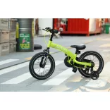 QPLAY Miniby 3v1 bicykel pre deti od 2 do 8 rokov – Green