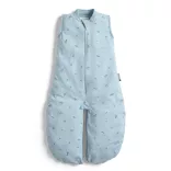 ERGOPOUCH Spací vak a dupačky 2 v 1 z organickej bavlny Suit Dragonflies 3–12 mesiacov, 6–10 kg, 0,