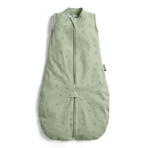 ERGOPOUCH Spací vak a dupačky 2 v 1 z organickej bavlny, vzor Willow, 3–12 mesiacov, 6–10 kg, 0,2 tog