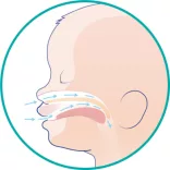 Chicco Physio Forma® Micro 0–2 mesiace mini cumlík 2 ks – ružová