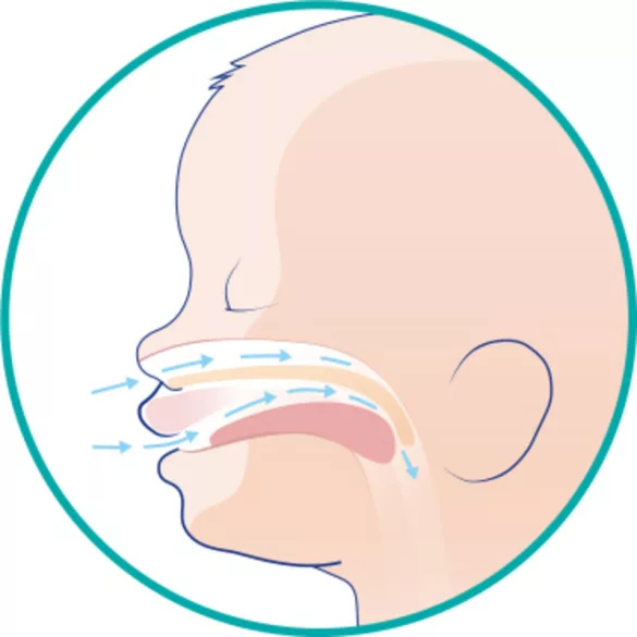 Chicco Physio Forma® Micro 0–2 mesiace minisavlička 2 ks – modrá