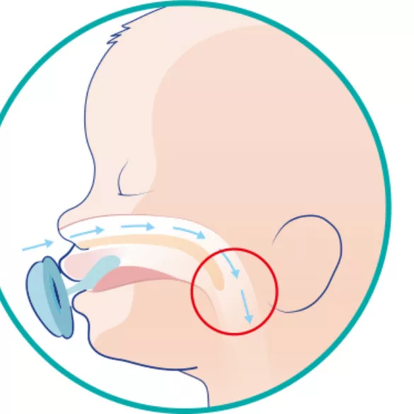 Chicco Physio Forma® Micro 0–2 mesiace minisavlička 2 ks – modrá