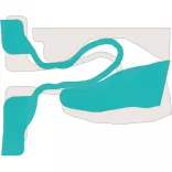 Chicco Physio Forma® Micro 0–2 mesiace minisavlička 2 ks – modrá
