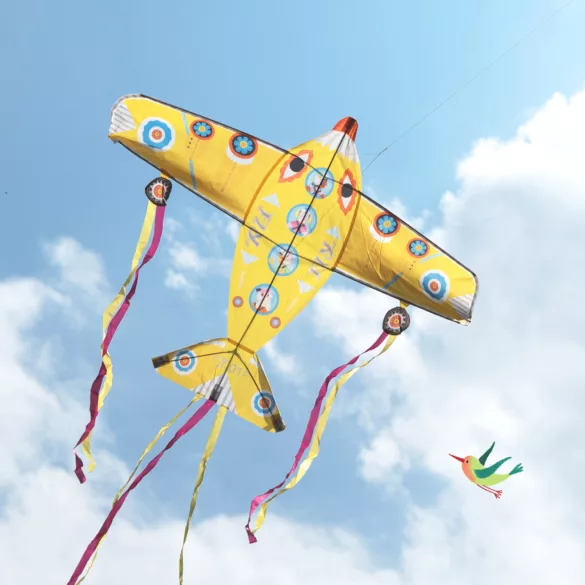 Djeco Větrný drak Obrovské lietadlo - Maxi Plane