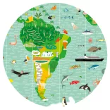 Djeco Pozorovacie puzzle Úžasný svet - Around the world