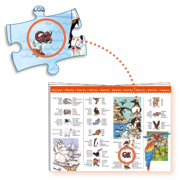 Djeco Pozorovacie puzzle Zvieratá Zeme - Animals of the earth