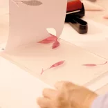 AGA Ateliér 46 Gélová tlač Farebná paleta - Atelier 46 Gel Printing