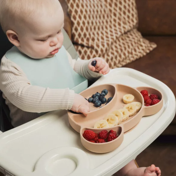 Canpol babies Silikónový deliteľný tanier s prísavkou, Medvedík – krémová farba