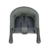 Inglesina Fast – detská stolička pripevniteľná k stolu – Pine Green