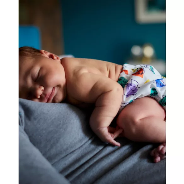 Bambino Mio Revolúcia v oblasti plienok – Chatter