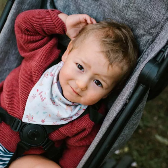 BabyOno Podbradník, trojuholníkový, 2 ks, Farm, 879/09