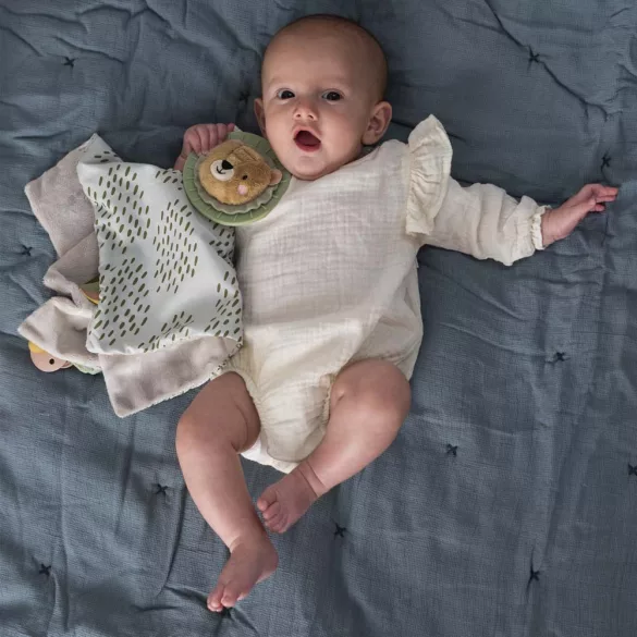 Taf Toys šatka na spanie s pútkom na cumlík Harry, lev 12975
