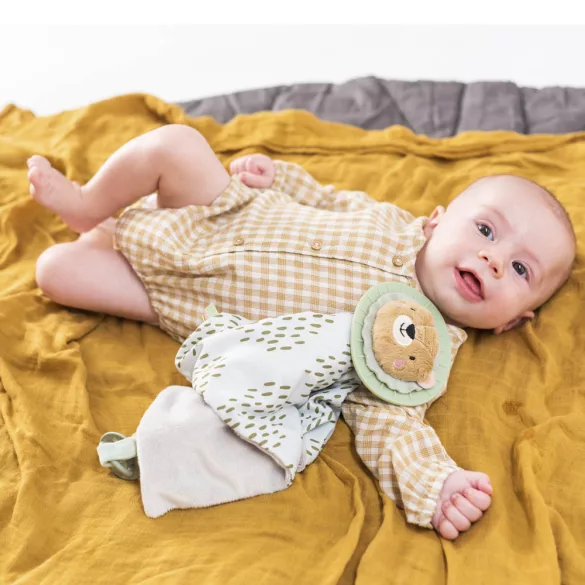 Taf Toys šatka na spanie s pútkom na cumlík Harry, lev 12975