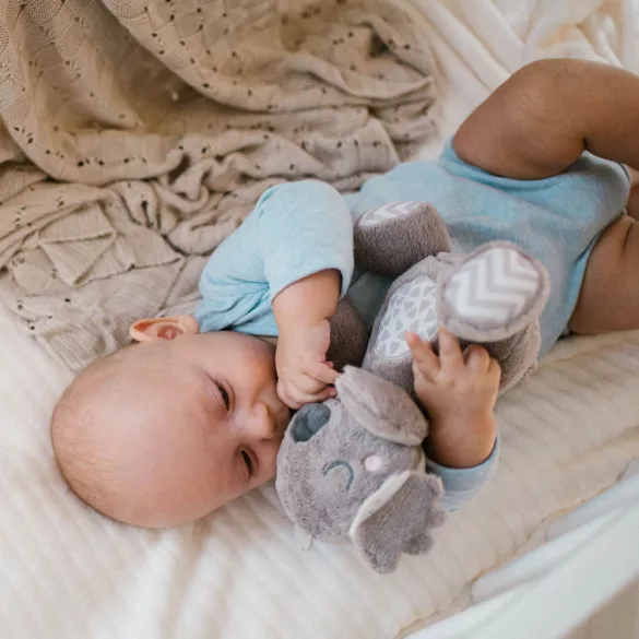 BabyOno hrkálka Koala Coco – plyšová koala 1631