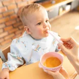 Detský tanier BabyOno – s protišmykovou základňou, s viečkom, tmavo ružový 1662/02