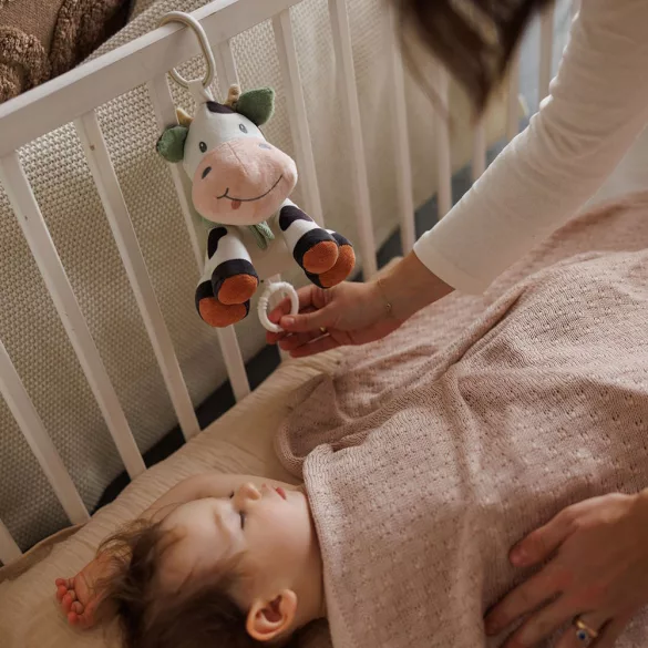 BabyOno natahovacia hudobná hračka Bingo boci 1692